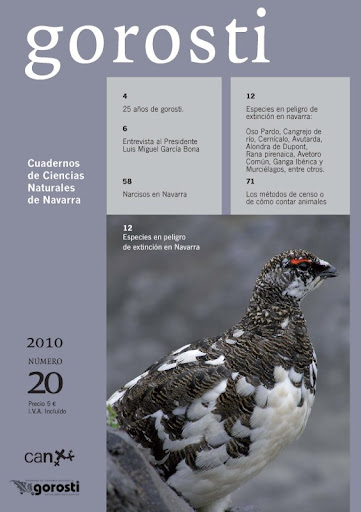 revista20